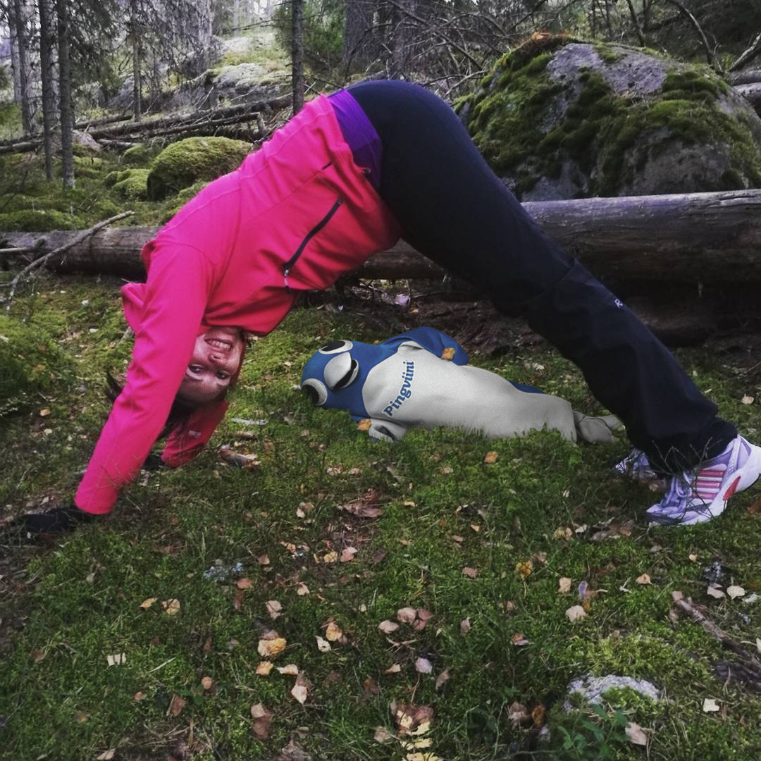 Valio Pingviini Photobomb 01, valmis kuvamanipulaatio